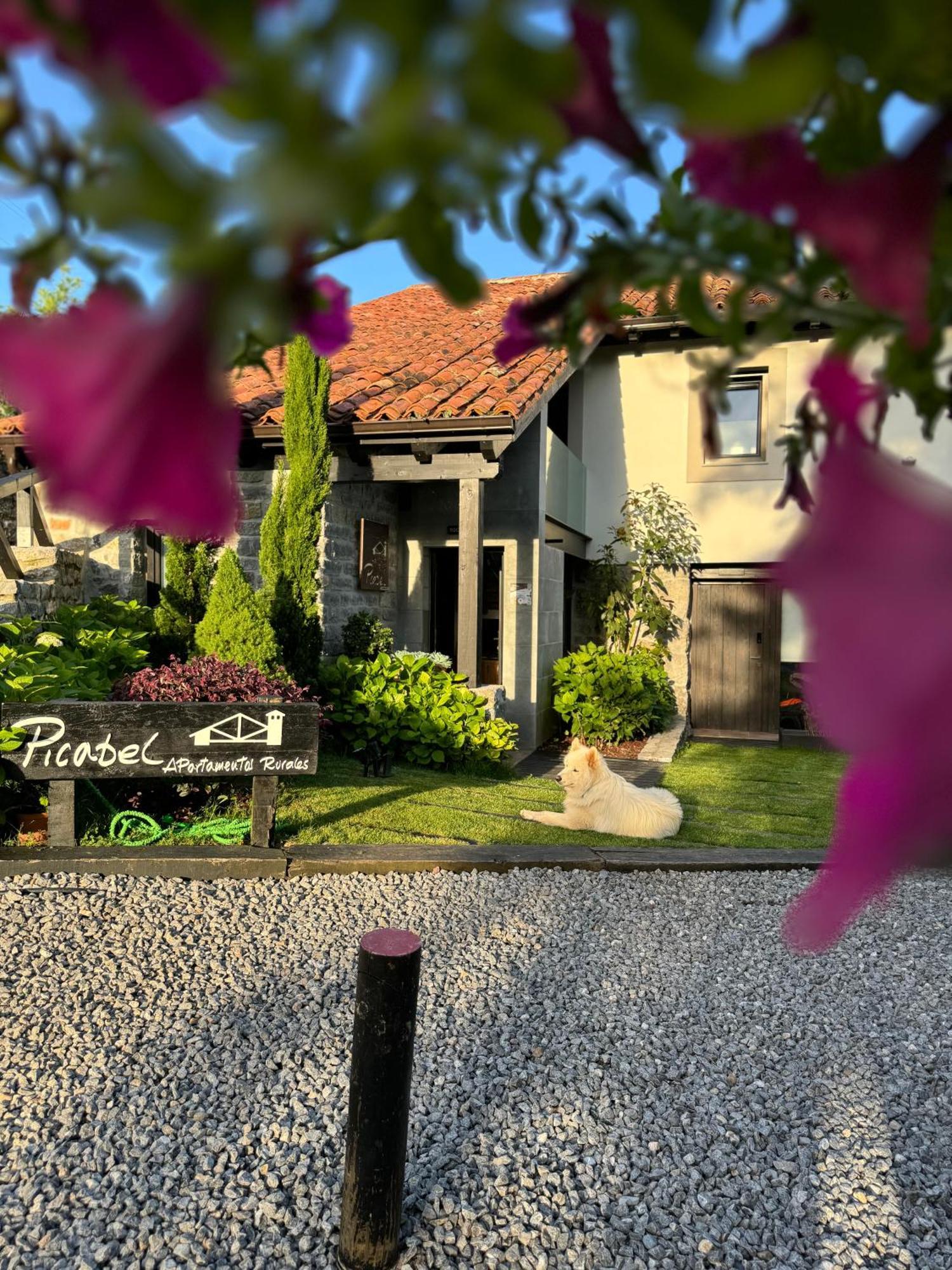Apartamentos Picabel Onís Kültér fotó